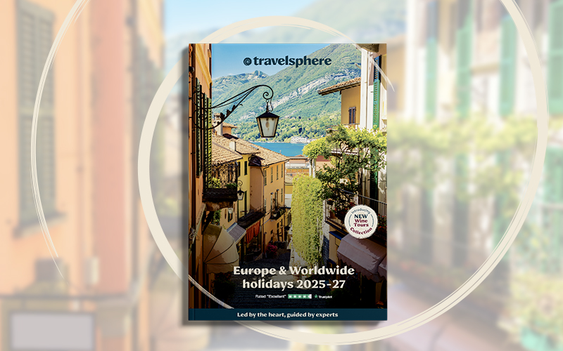 TS Dec Brochure Launch 2025 -Website block 800x50.jpg